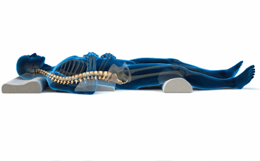 Spine Segments