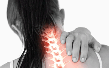 Spinal Cord